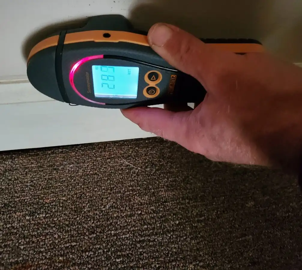 Moisture detection at baseboard during Sewage Cleanup & Sanitation in Luzerne